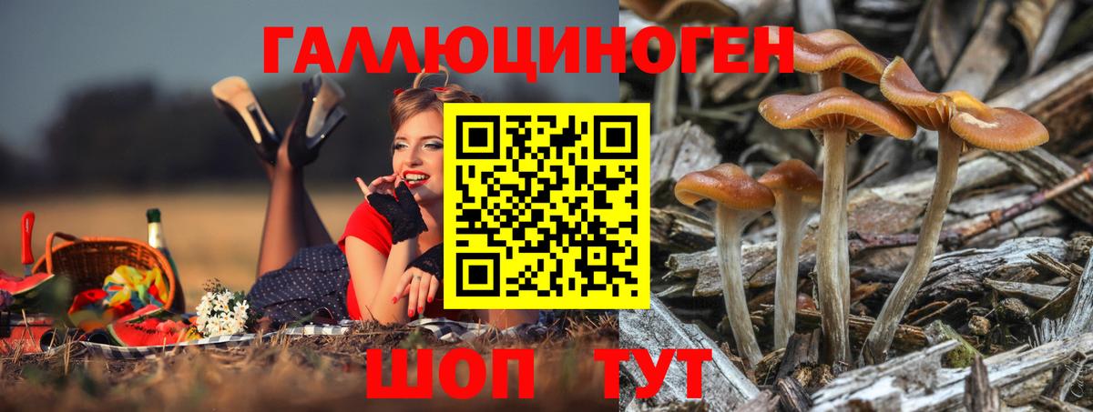 Галлюциногенные грибы мицелий Сердобск